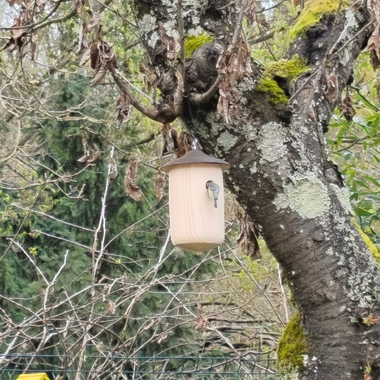 nichoir en bois toune avec toit brule et une mesange