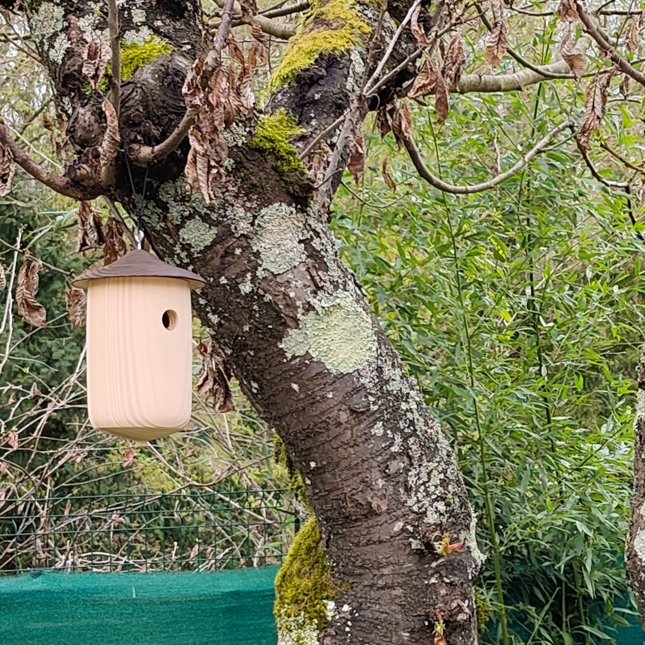 image nichoir bois tourne suspendu dans un arbre